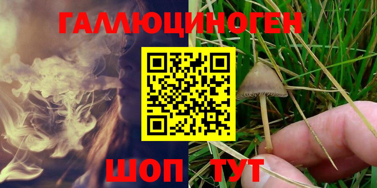 Псилоцибиновые грибы MAGIC MUSHROOMS Алексеевка