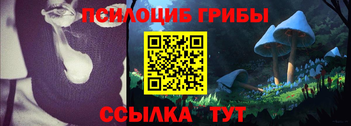 купить наркотики сайты  Вход с VPN  Алексеевка  Псилоцибиновые грибы Magic Shrooms 