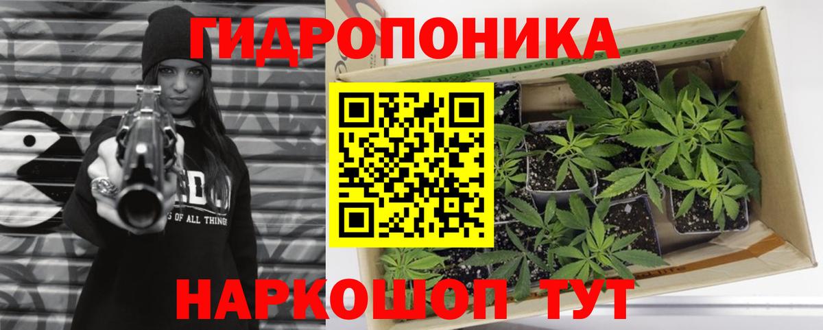 Бошки марихуана THC 21%  Бошки марихуана тримм  Алексеевка  Вход с VPN  Конопля сатива 